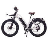 NCM T1000 Cruiser E-Bike (German Brand)